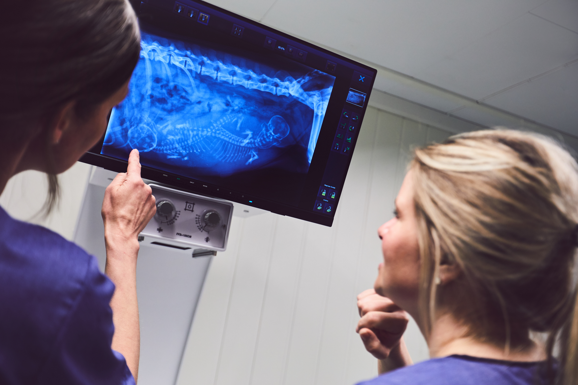 Valdresveterinaersenter Roentgen