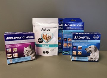 130303006 3370378583084574 7287574040997352469 N