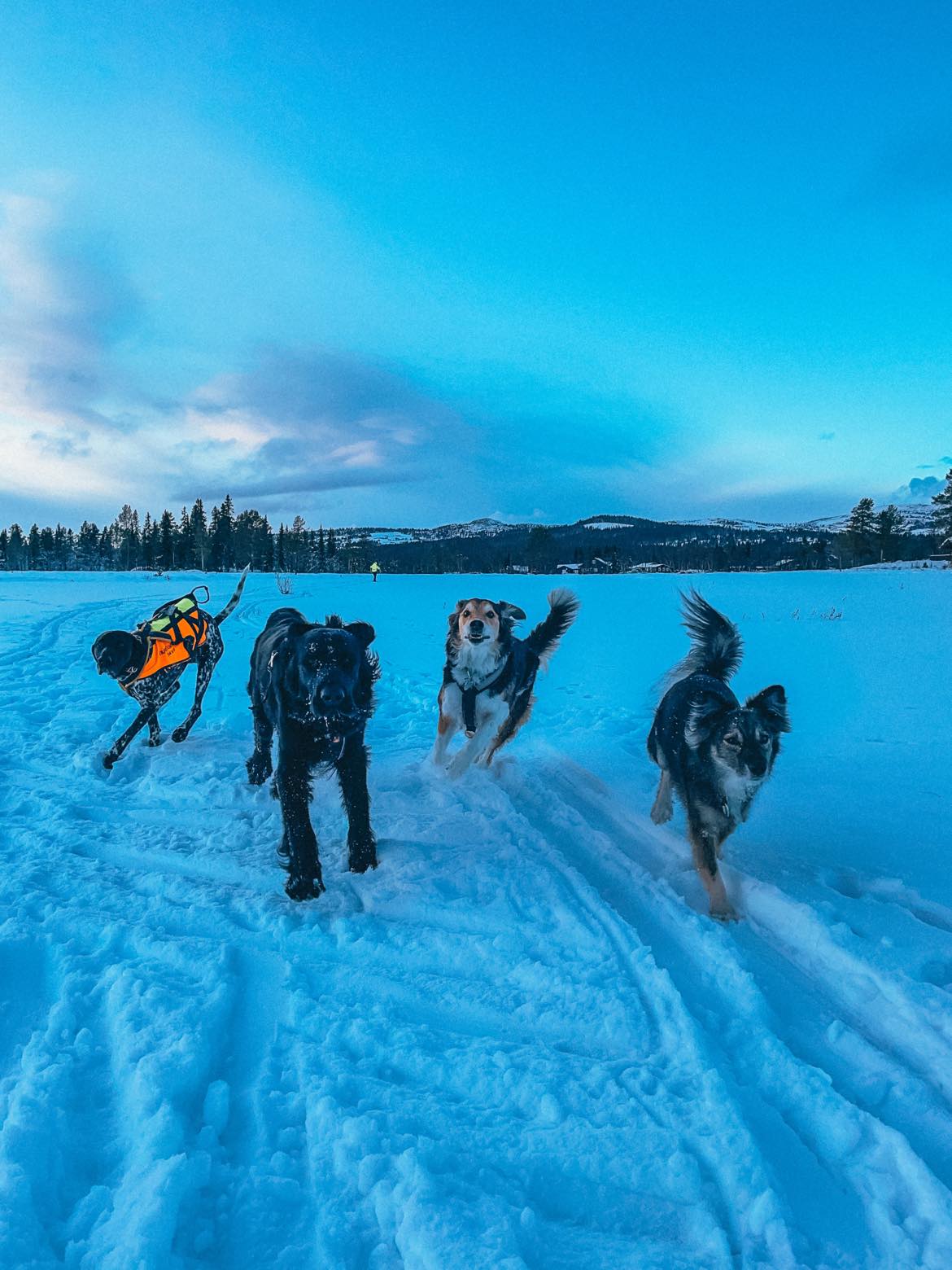 317021804 820015642405274 8766258435473593250 N