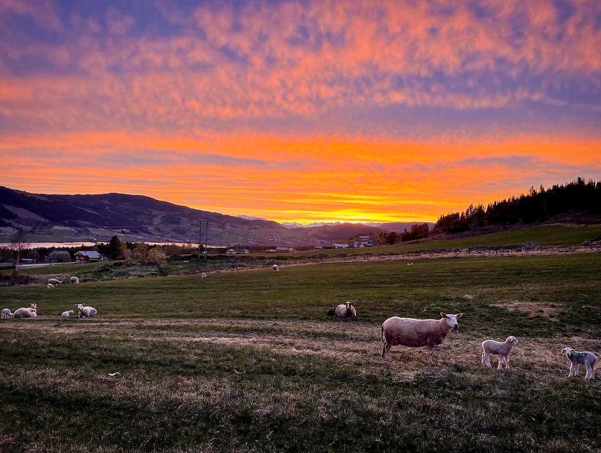 424600371 911280661001818 351261367353459619 N