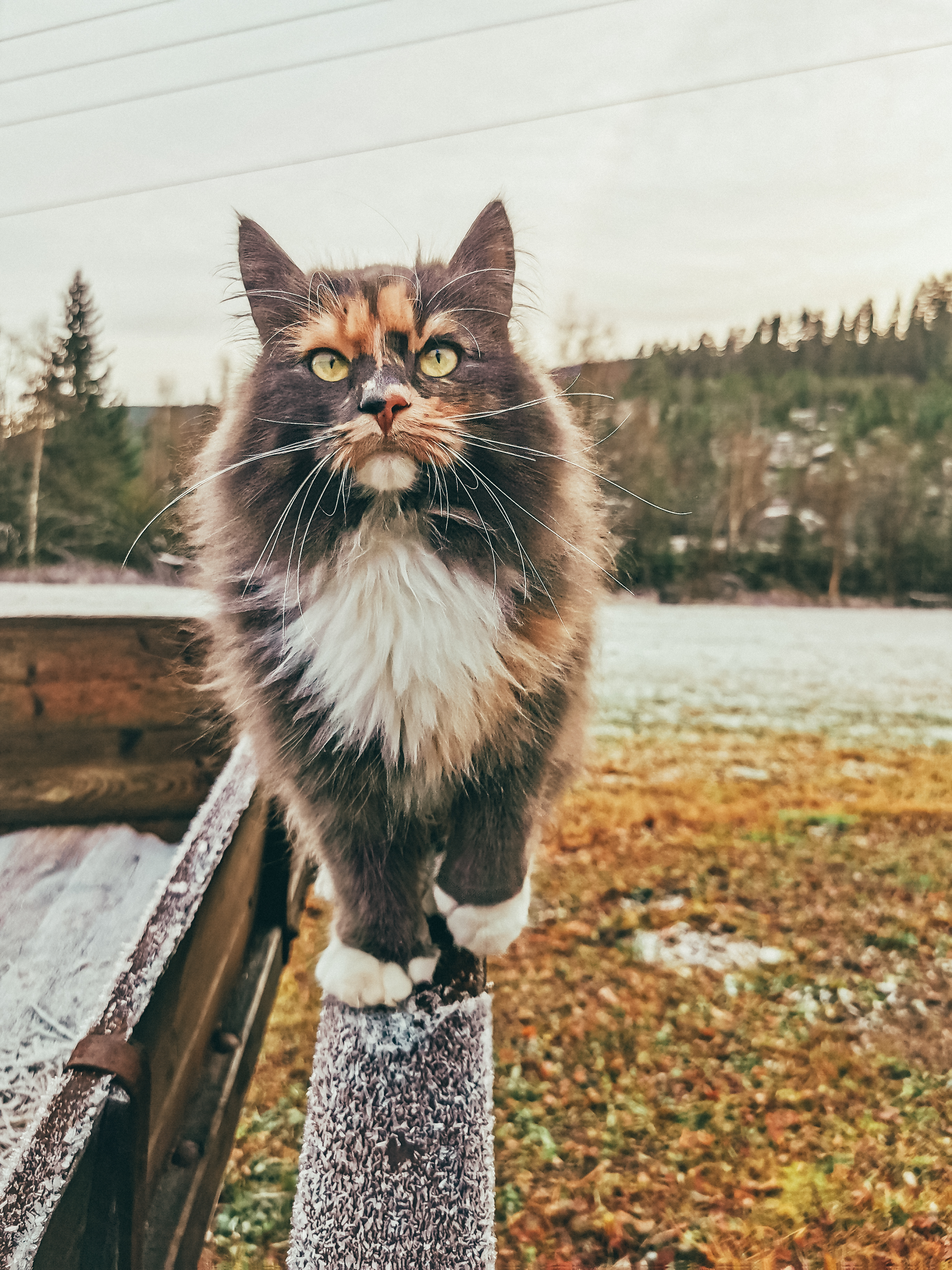 IMG 20211106 135112 (1)