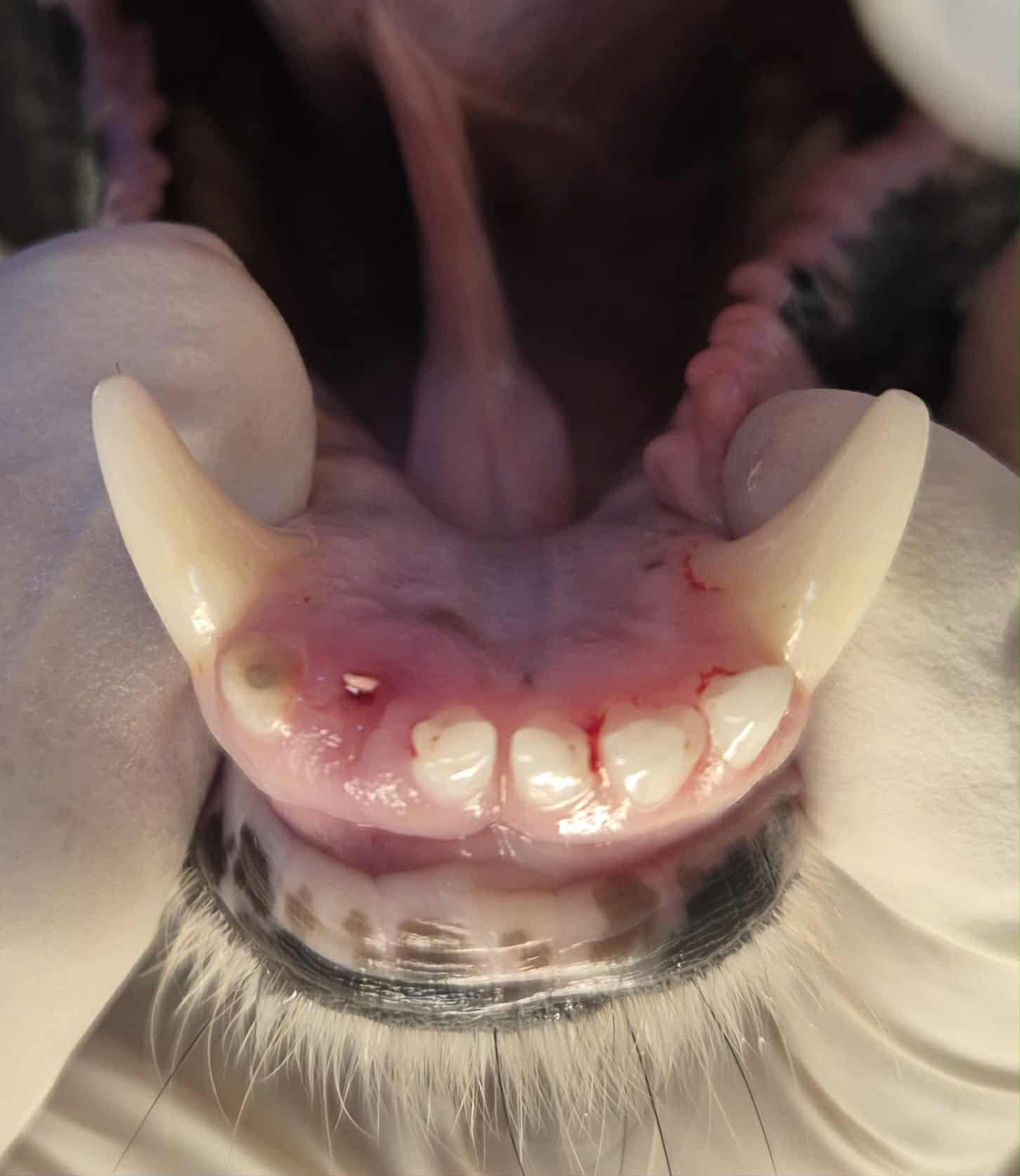 929Cadc5 8013 4Ad8 944C 52Cdc79cc6a5