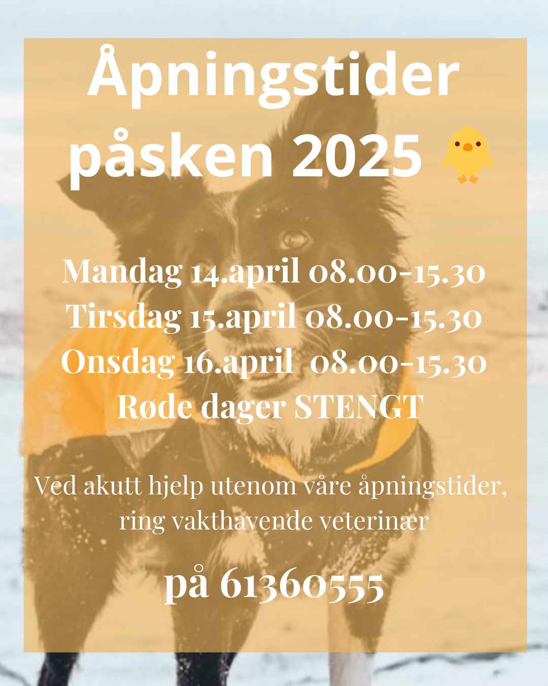 488020625 1013557640703435 5674549142167879340 N