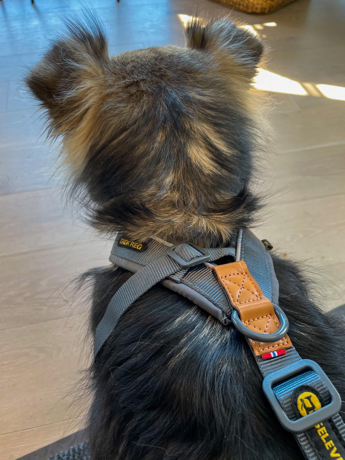 Selen er polstret med høykvalitets skum rundt halsen.