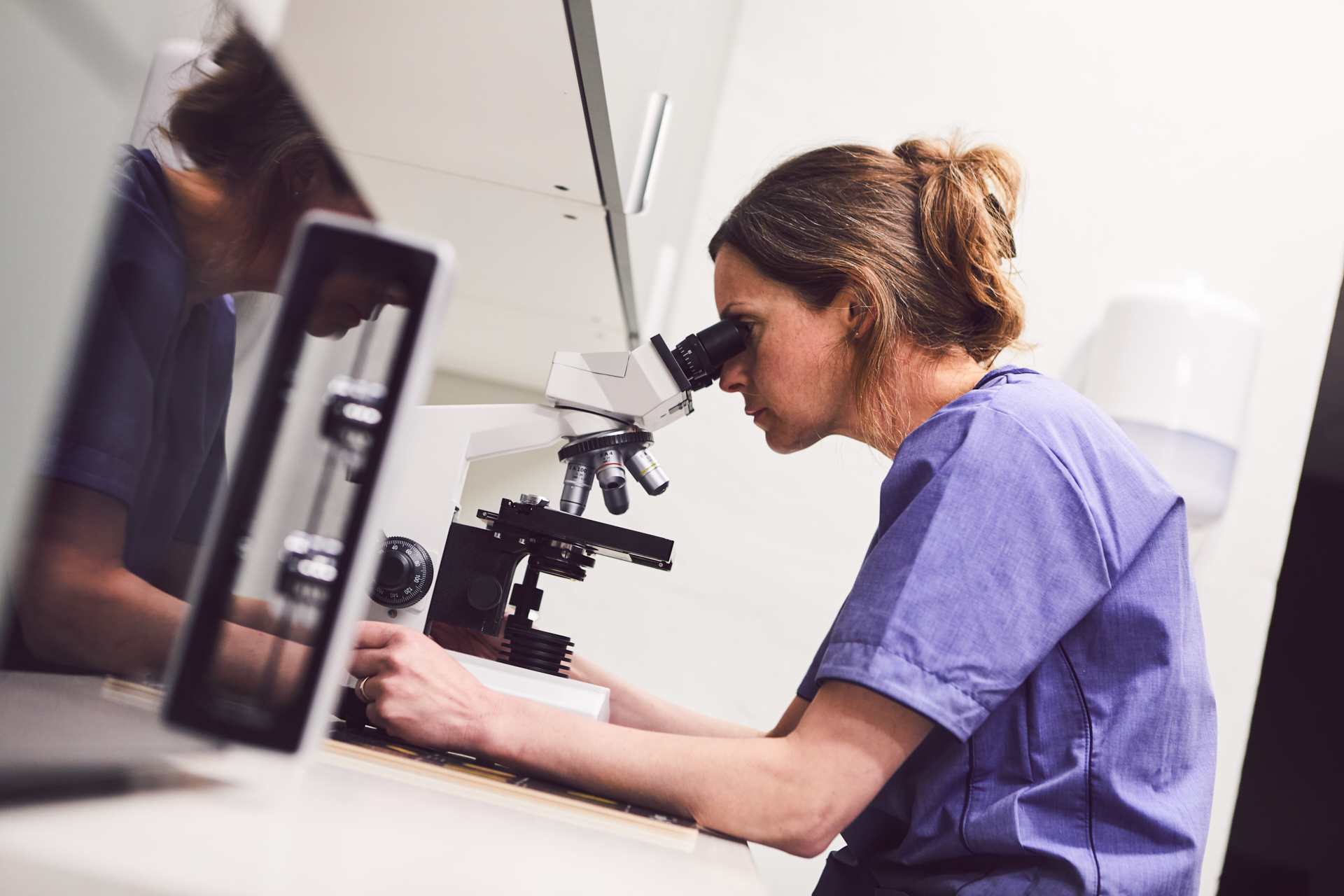 Valdresveterinaersenter Klinikk