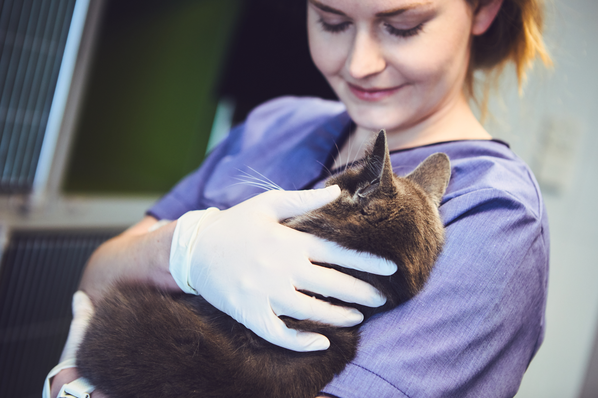 Valdresveterinaersenter Kastrering