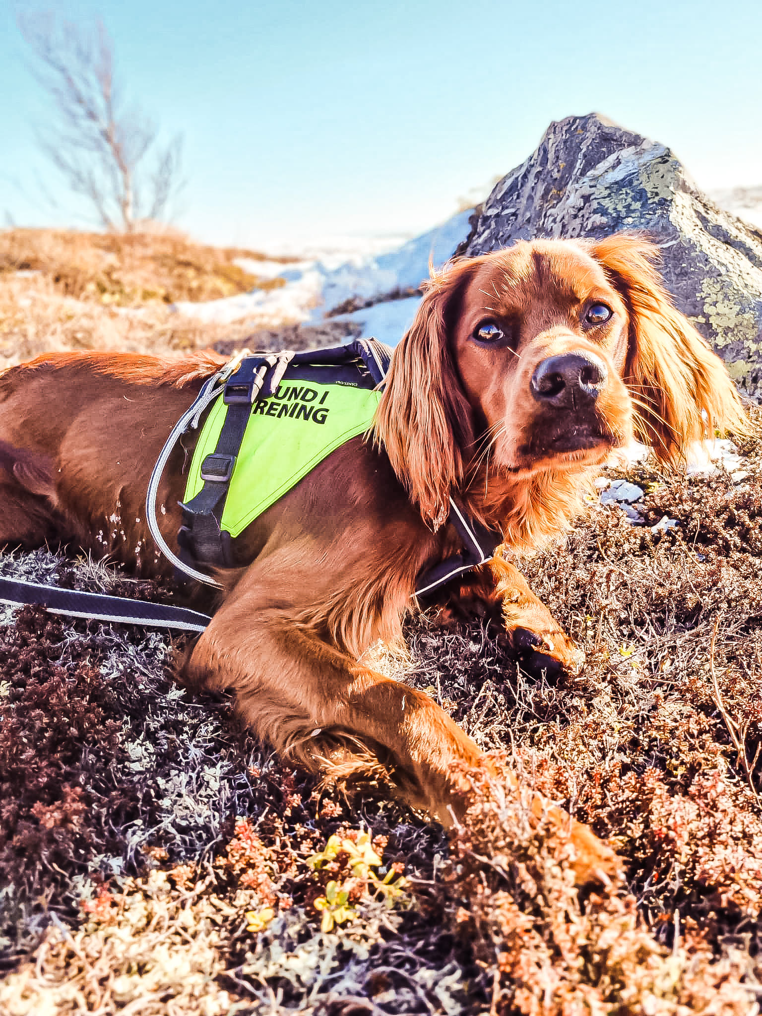 276088661 3252083285024523 8463880264928108188 N