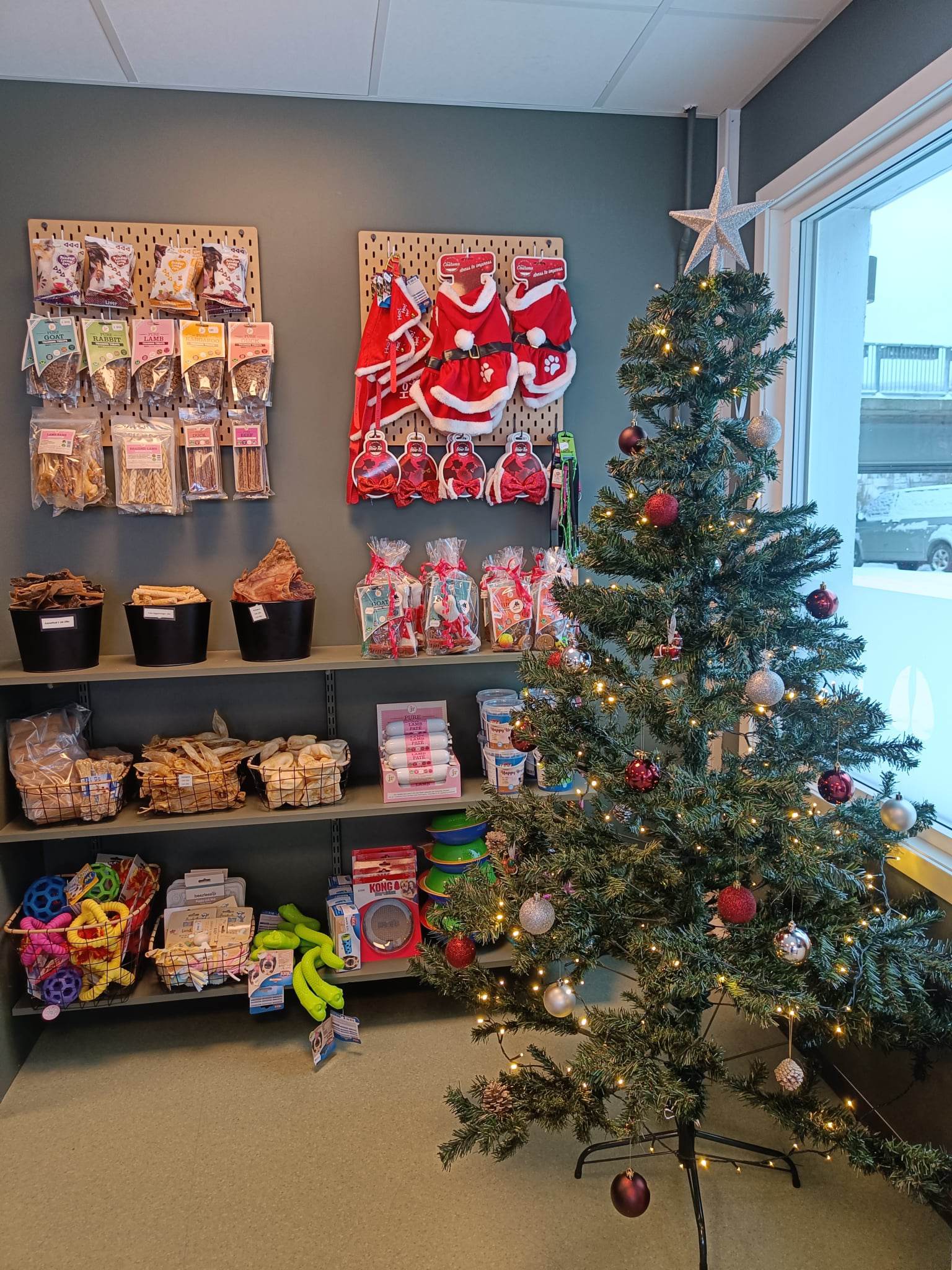 317258717 3346039522331320 8804318864571192 N