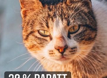 Thumbnail 2A41103E 76C7 42B4 B646 24252BEACA70