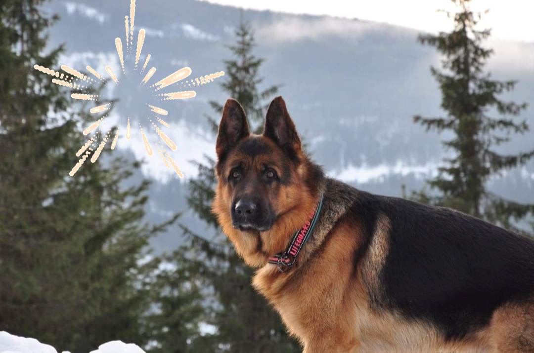 317262212 1173342626895105 5035517877812583116 N