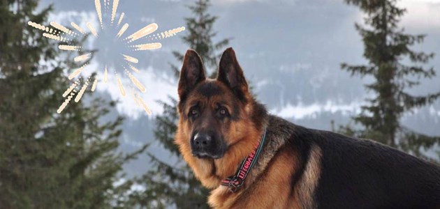 317262212 1173342626895105 5035517877812583116 N