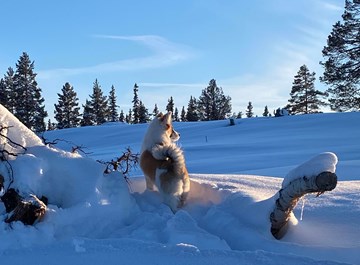 315526474 532271685605930 5499605118661393389 N