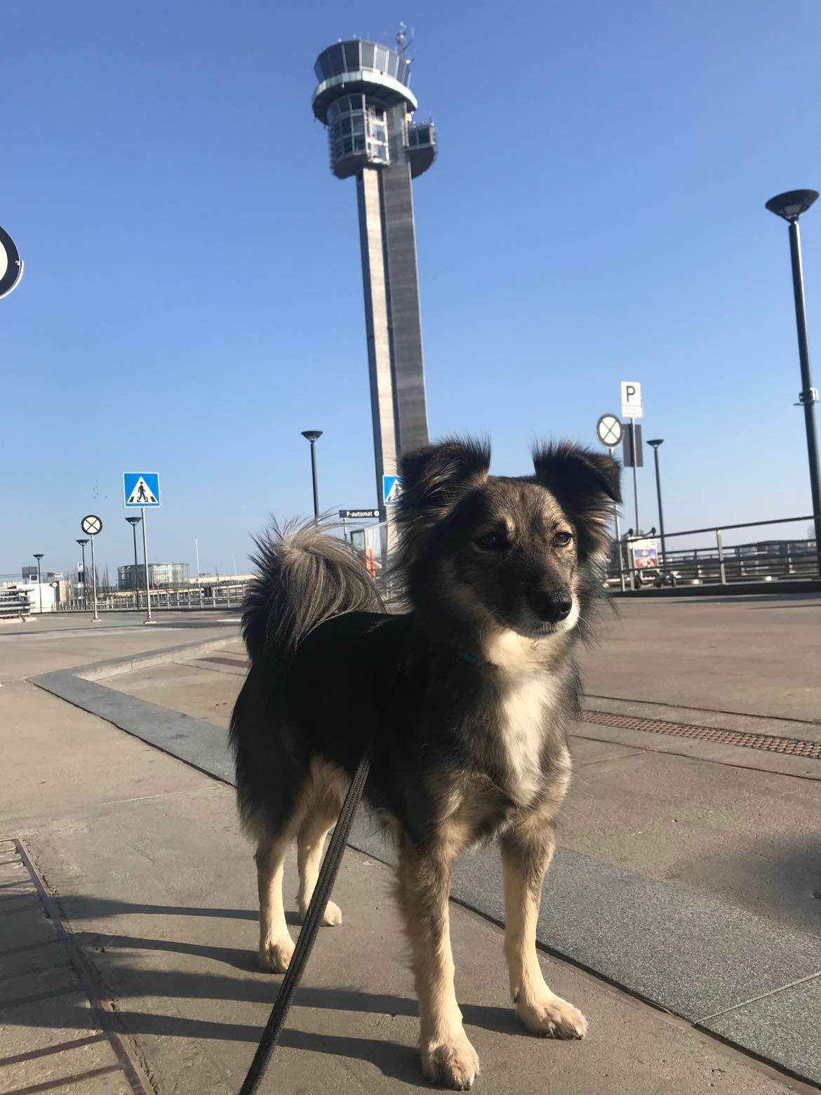 290514382 428691489269553 7416306591995670758 N