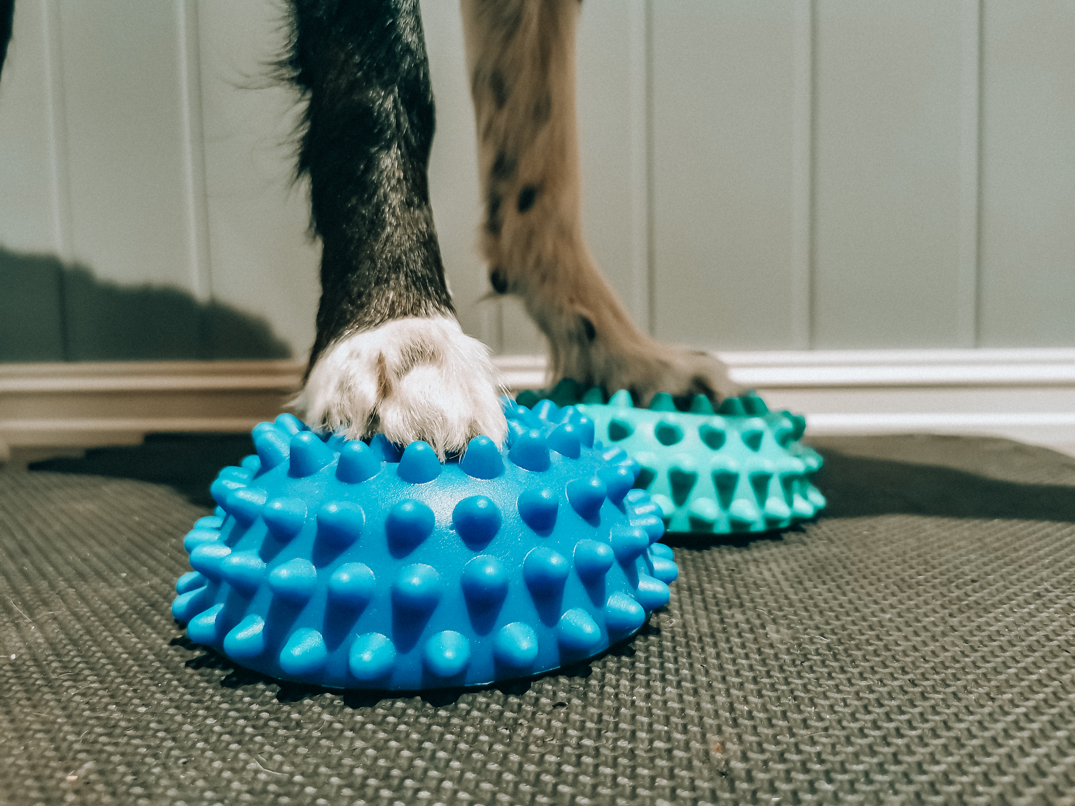 IMG 20220111 193242 (2)